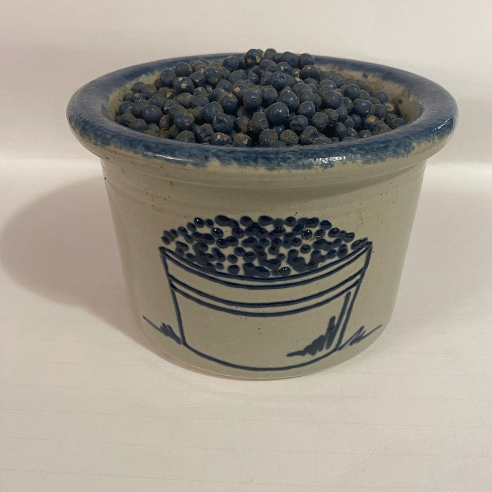 Bujno Pennsylvania salt Potter display crock with faux blueberry country cottage